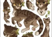 Quiz Feuille de Lune !