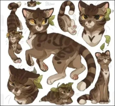 Et le compagnon de sa fille ?