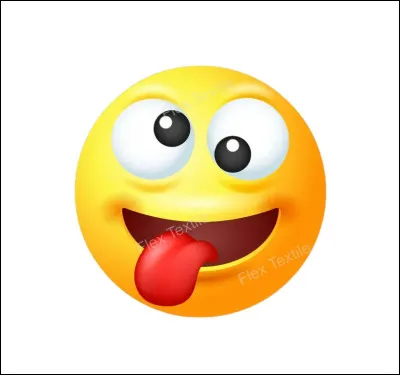 Qu'est-ce qu'un cochon d'Inde ?