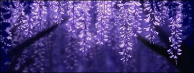 Quelle est la faiblesse biologique principale des démons (hors soleil) utilisée par Shinobu pour ses poisons ?