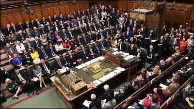 Comment se nomme cette assemblée politique qui gère les affaires du pays ?