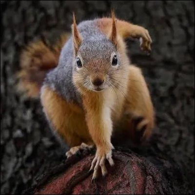 Si tu devais choisir ton anecdote, tu serais�