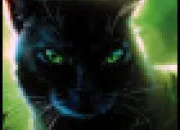 Test Cr�er ton chat - Partie I : Ton pelage