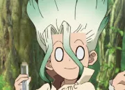 Test Qui es-tu pour Senku