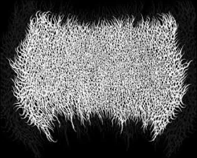 Quel est le titre du 2nd EP de XavlegbmaofffassssitimiwoamndutroabcwapwaeiippohfffX ?