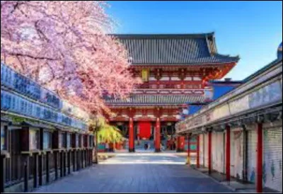 Pour commencer, aimes-tu les fleurs ?