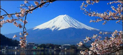 Tu t'attends à la réponse