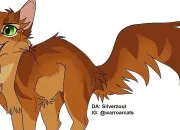 Quiz Poil d'Écureuil