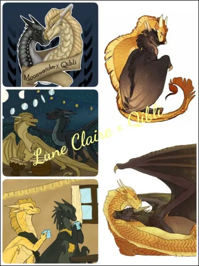 Quel est ce couple que tout le monde adore (sauf moi) ?