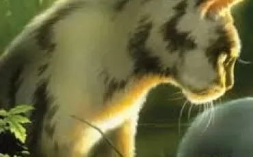 Quiz Littrature, posie