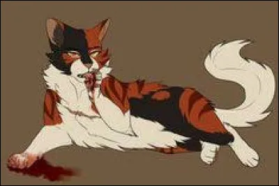 Quel clan a-t-il attaqué en premier ?