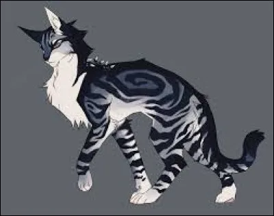 Comment sappelle son groupe ?