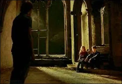 Dans "Harry Potter et le Prince de sang-mêlé, quand Hermione lâche tous ses petits oiseaux sur Ron, quel sortilège utilise-t-elle ?