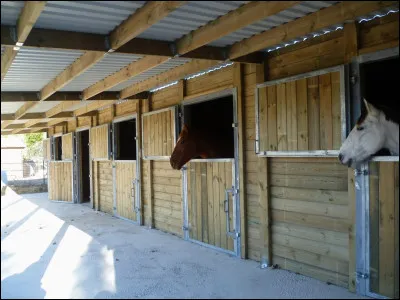Et enfin, dans quel environnement doivent vivre les chevaux selon toi ?