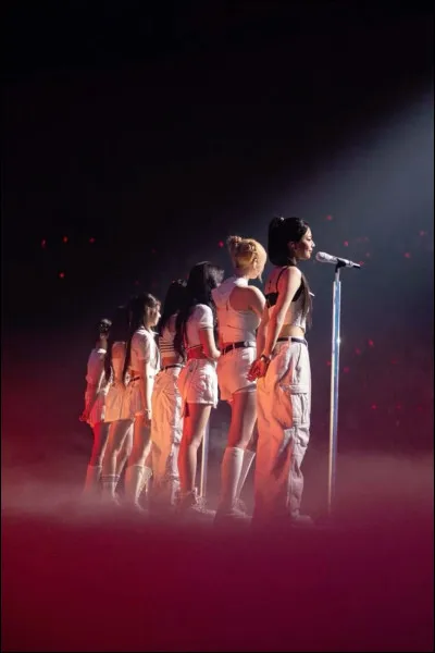 Quel est leur lightstick ?