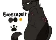 Quiz Connais-tu bien Pelage de Brume ?