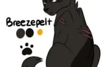 Quiz Litt�rature, po�sie