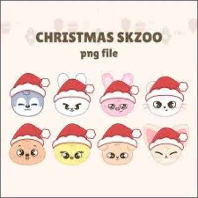 Quel est son SKZOO ?