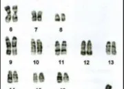 Quiz Prparation au brevet en SVT