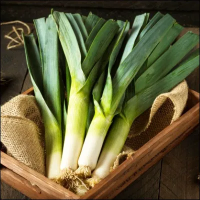 Quel empereur romain fut surnommé le Porrophage parce quil consommait beaucoup de poireaux pour séclaircir la voix ?