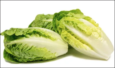 Quel est le nom de la petite laitue allongée aux feuilles charnues ?