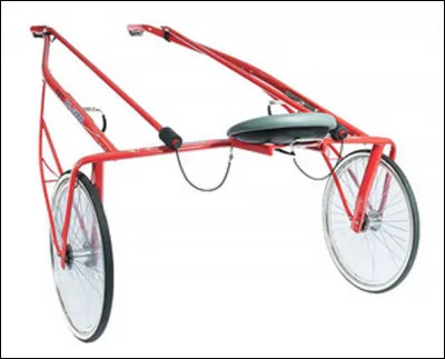 Quel est le nom de la voiture hippomobile à 2 roues ?