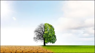 Quelle action quotidienne aide à réduire son impact sur le climat  ?