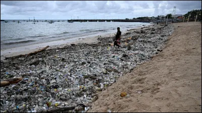 Le plastique jeté dans la nature finit le plus souvent  :