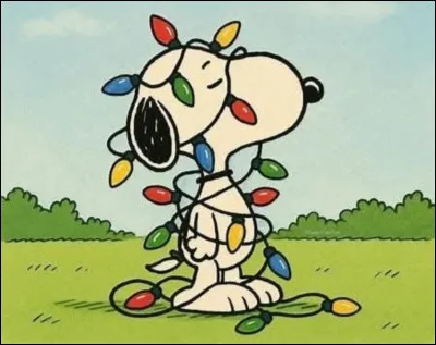 Qui est coincé dans des guirlandes lumineuses ?