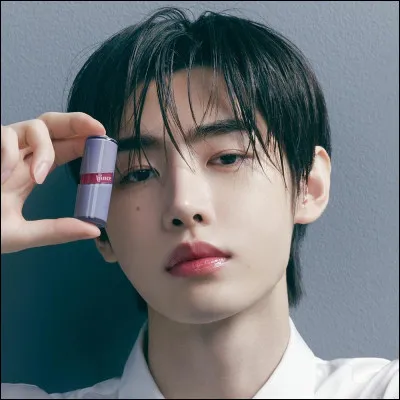 Quel est le nom complet de Sunghoon ?