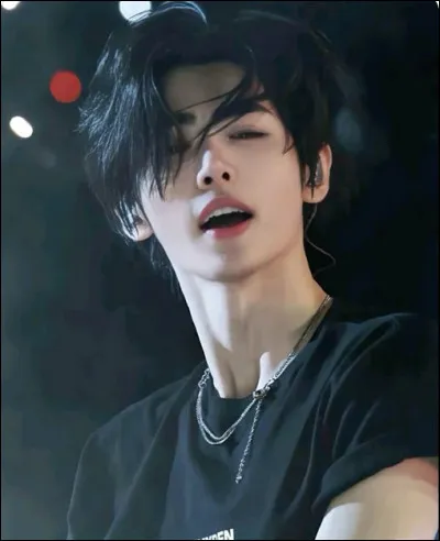 Quelle est sa couleur préférée ?