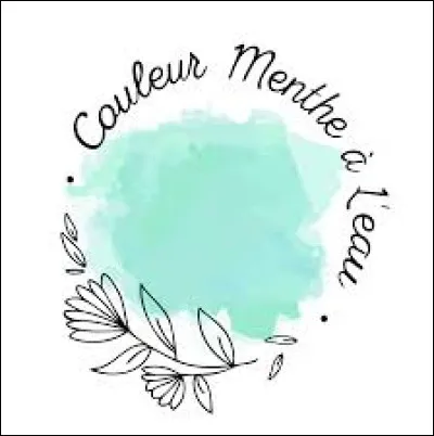 Qu'est ce qui est de couleur menthe à l'eau chez la fille de la chanson interprétée par Eddy Mitchell en 1980 ?