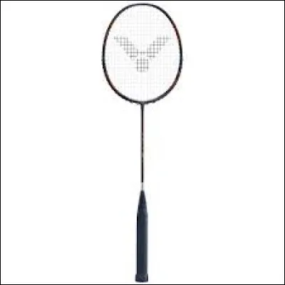 Dans lequel de ces sports la raquette ne fait pas partie du vocabulaire ?