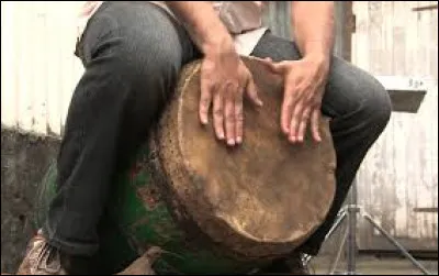 Laquelle de ces propositions désigne un genre musical de l'île de La Réunion ?