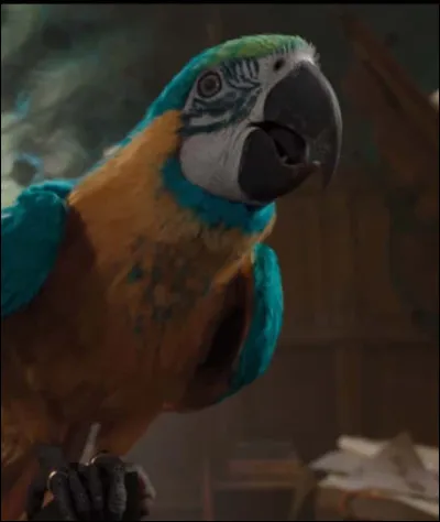 Dans quel film des ann&eacute;es 2000 pouvez-vous voir la perruche Polynesia discuter avec un docteur fantasque ?