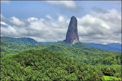 Me voil&agrave; au pied du Pico C&atilde;o Grande. Si je traduis en fran&ccedil;ais : &laquo; pic du grand chien &raquo;. La pr&eacute;cision est peu int&eacute;ressante j'en conviens. Mais je peux vous dire qu'il se situe dans un &Eacute;tat insulaire d'Afrique. O&ugrave; suis-je ?