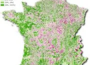 Quiz Saurez-vous situer ces communes ? (3765)