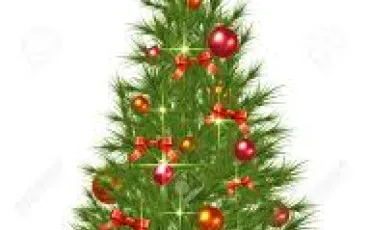 Quiz Test de personnalit