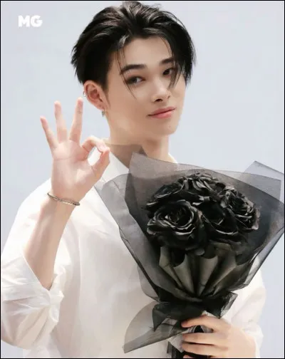 Quelle est sa couleur préférée ?