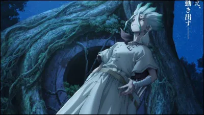 De quoi Senku nest-il pas le chef ?