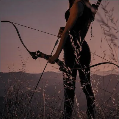 Tu pr&eacute;f&egrave;res te battre avec :