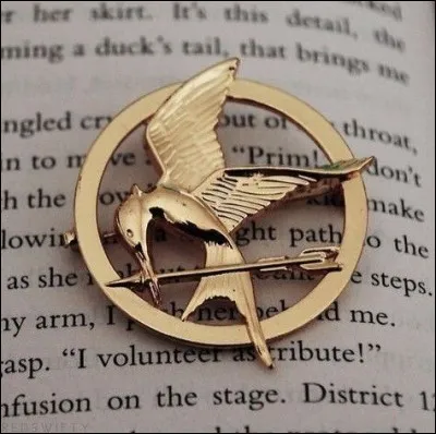 Es-tu pour les Hungers Games ?