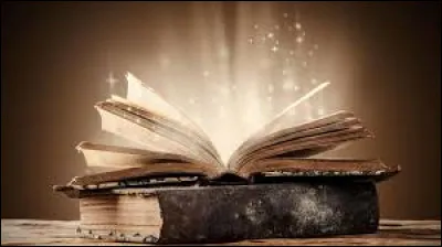 Le roman "Madame Bovary" fut &eacute;crit par Victor Hugo.