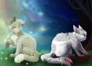 Test Es-tu plus Feuille de Lis ou Aile de Colombe ?