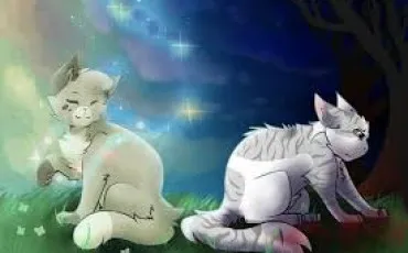 Quiz Test de personnalit