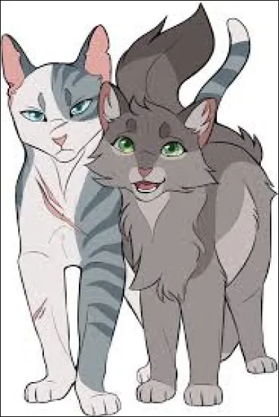 Es-tu tigrée ? Ou unie ? (Pelage)