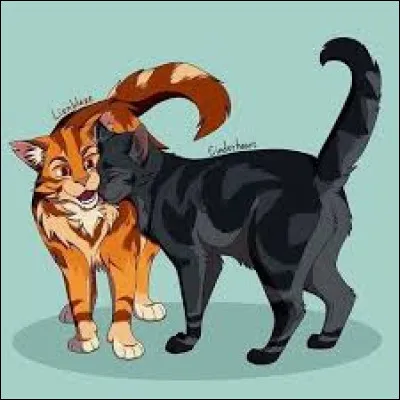 Qui préfères-tu comme mentor ?