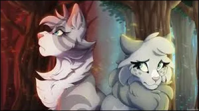 Sinon dernière question, qui préfères-tu avoir ?