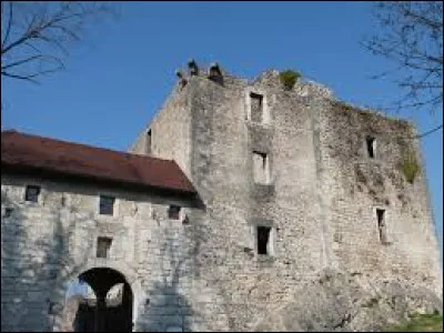 Je vous attends maintenant devant le château de Rochefort-sur-Séran, à Cressin-Rochefort. Village d'Auvergne-Rhône-Alpes, dans l'aire d'attraction Belleysane, il se situe dans le département ...