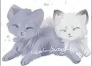 Quiz La famille d'toile Bleue